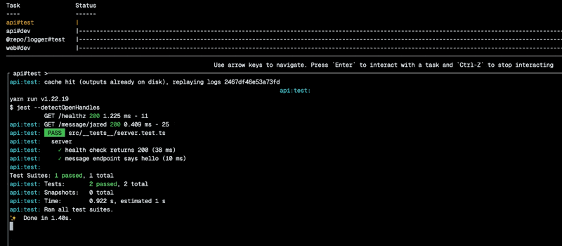 A screenshot of a terminal running `turbo scan`.
