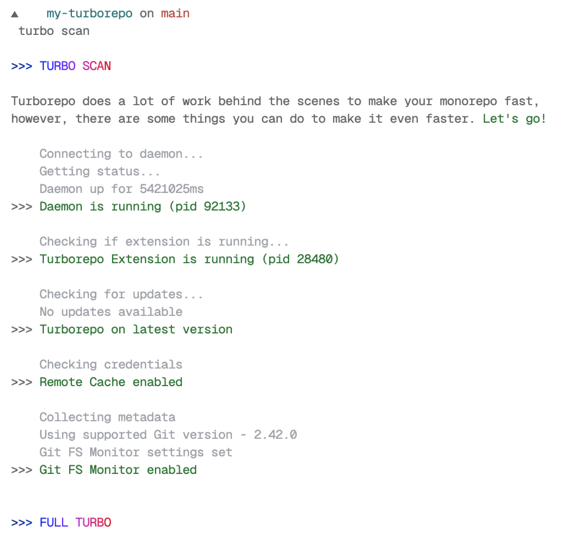 A screenshot of a terminal running `turbo scan`.